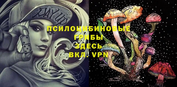 2c-b Алексин