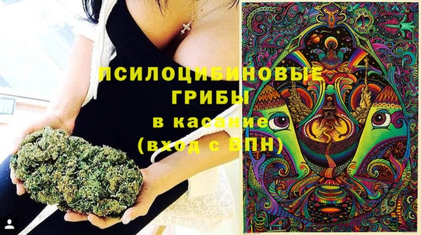 2c-b Алексин