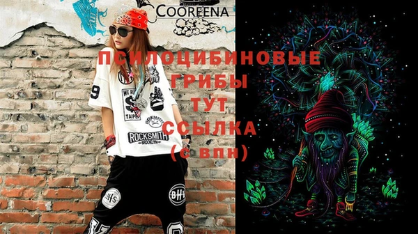 2c-b Алексин